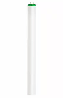 Philips 32-Watt 4 ft. Alto Linear T8 Fluorescent Tube Light Bulb, Cool White (4100K) (2-Pack)